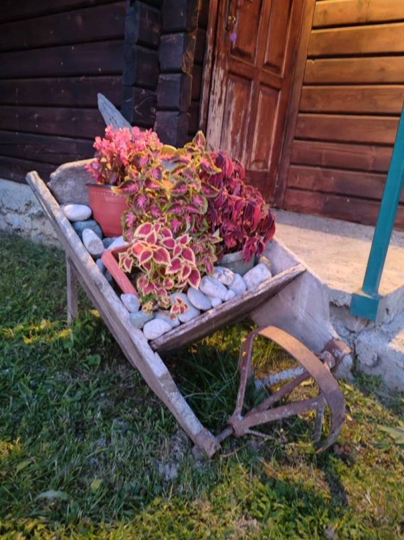 https://mnevillage.gov.me/app/storage/gallery/4d6c19d4c90082693b476876db62c424.jpg