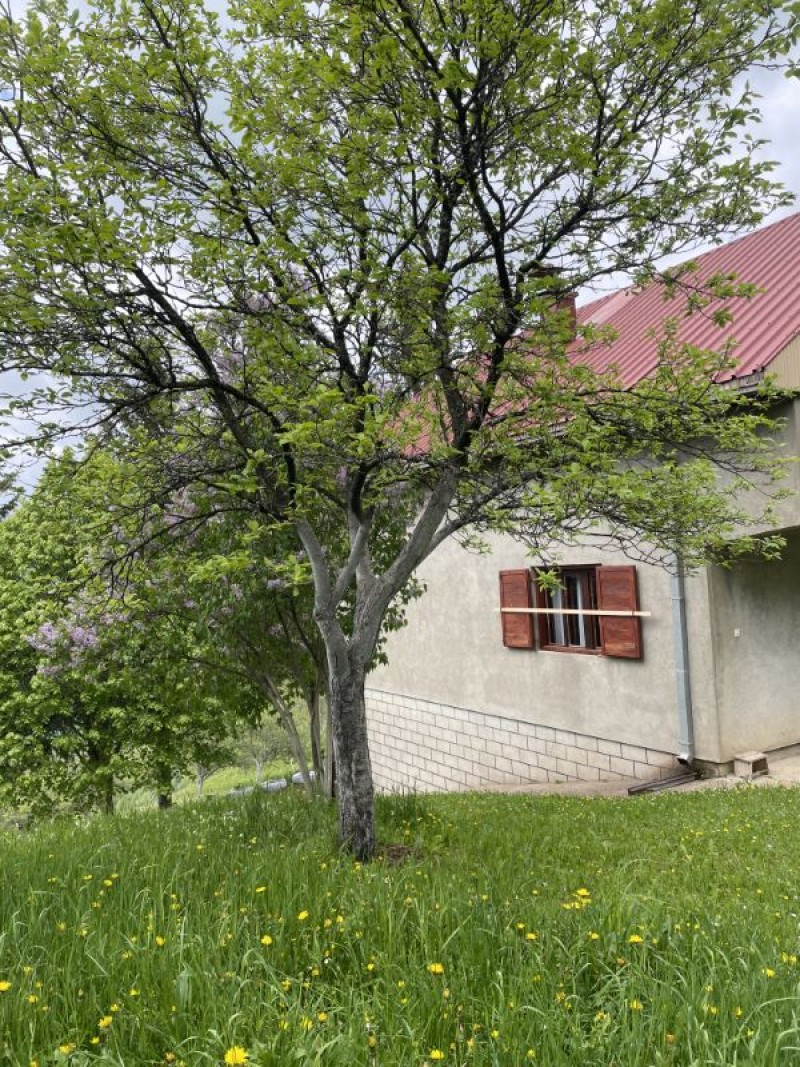 https://mnevillage.gov.me/app/storage/gallery/5380f721382ee7f23720937df1c85940.jpg