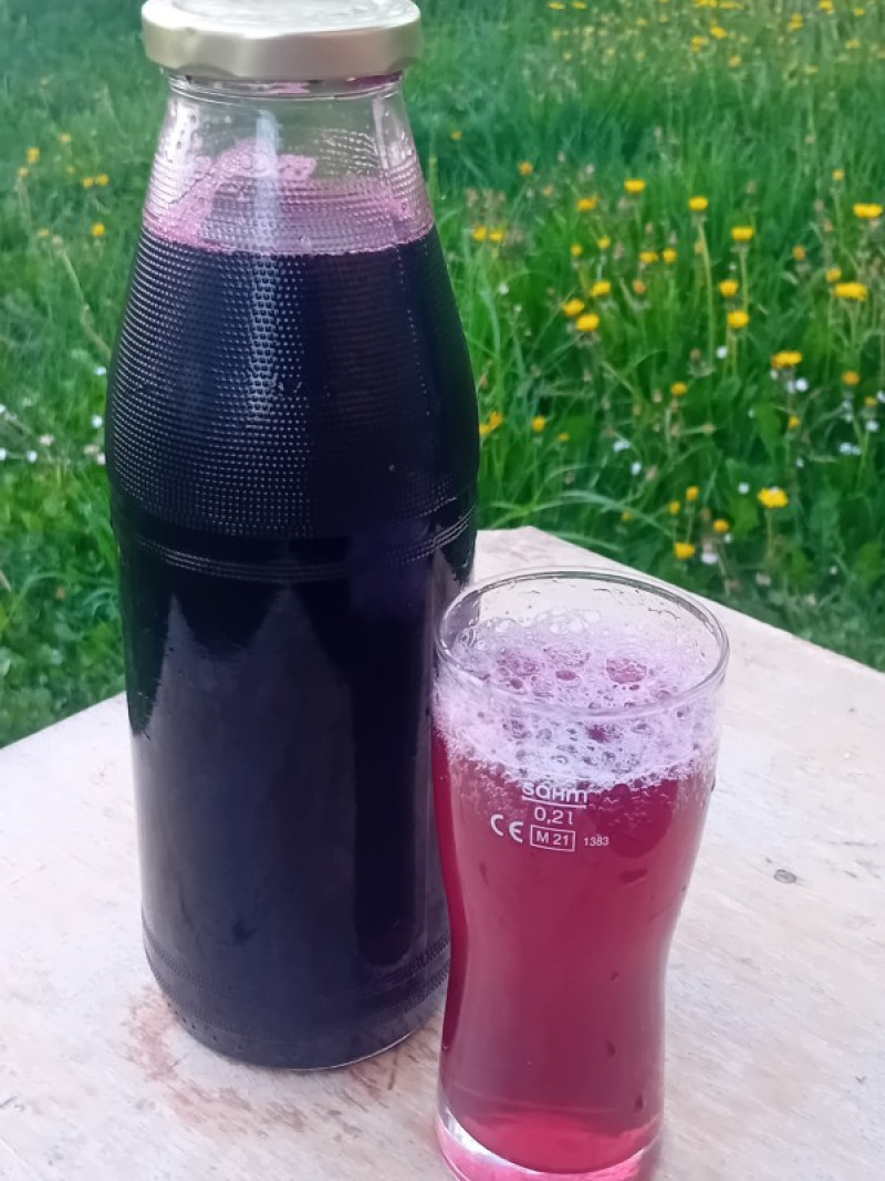 SEOSKO DOMAĆINSTVO "KUĆA PORED RIJEKE" 2