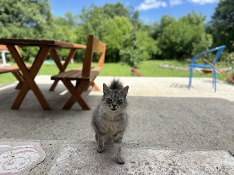 https://mnevillage.gov.me/app/storage/gallery/59872951ea688bebbbe43163e595574f.jpg