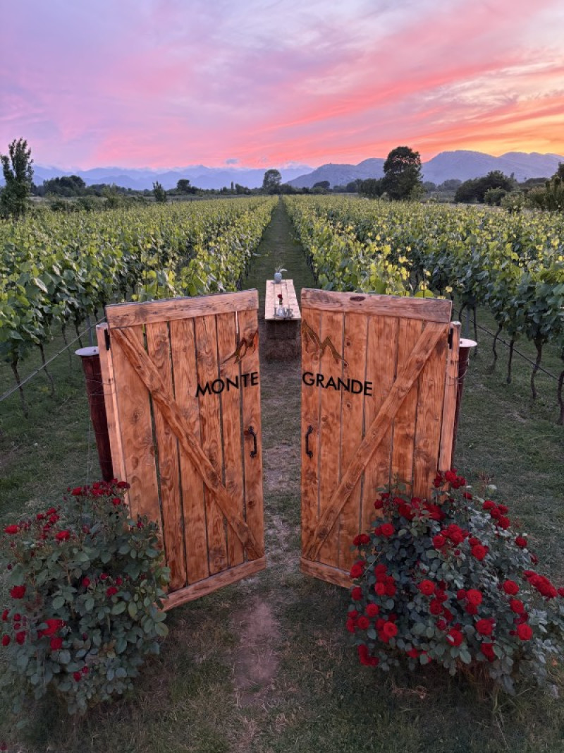 SEOSKO DOMAĆINSTVO "MONTE GRANDE WINERY" 2