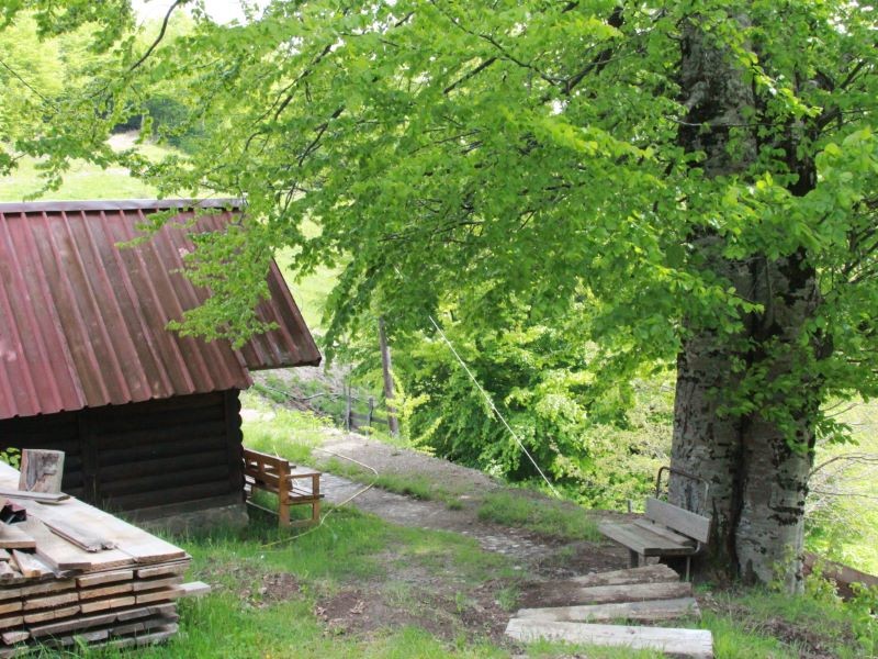 https://mnevillage.gov.me/app/storage/gallery/da6d7b374d694566a6f0fd807823acd4.jpg