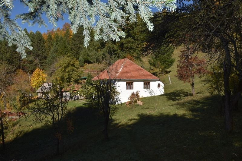 “IMANJE MEDOJEVIĆ“ RURAL HOUSEHOLD