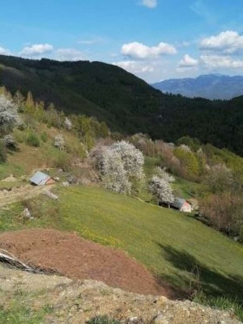 SEOSKO DOMAĆINSTVO „OBIČAJI STARINA”