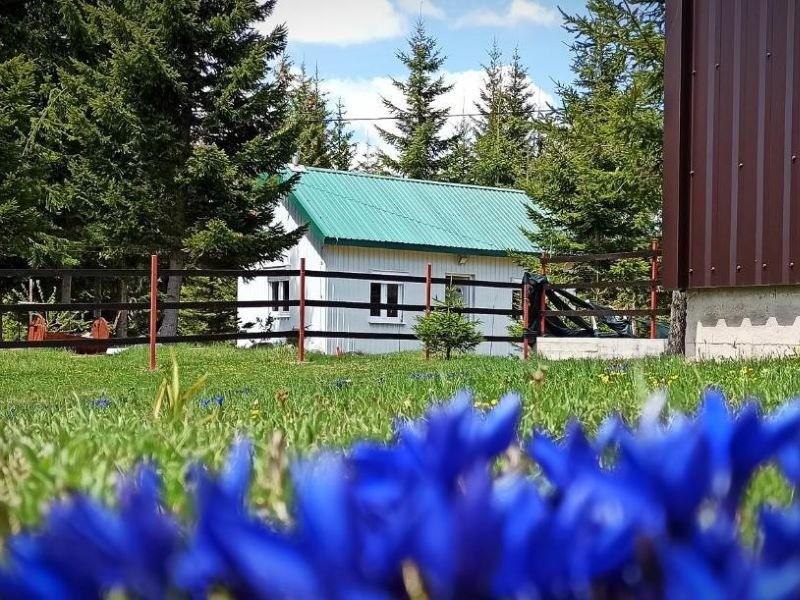RURAL HOUSEHOLD “EDELWEISS”