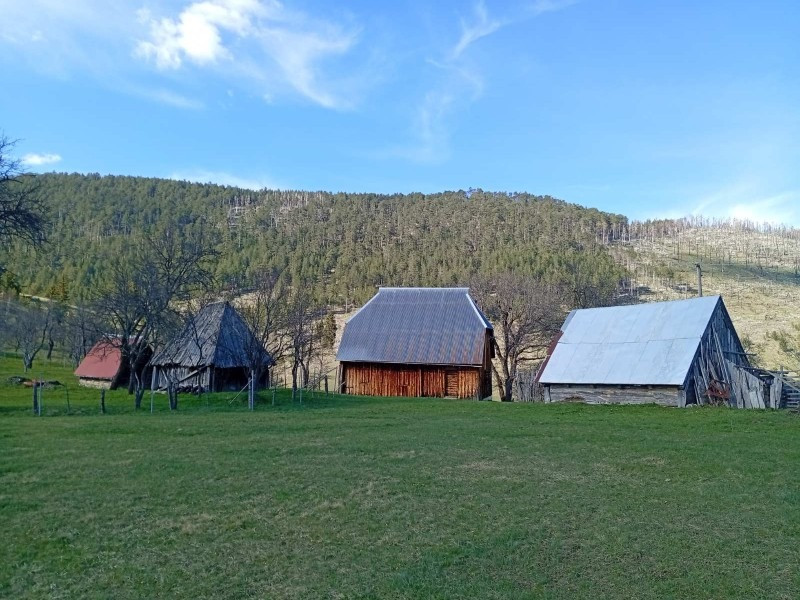 SEOSKO DOMAĆINSTVO "EMA" 1