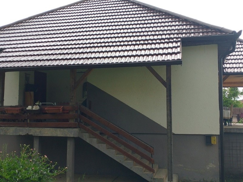 SEOSKO DOMAĆINSTVO "KOŠUTA" 1