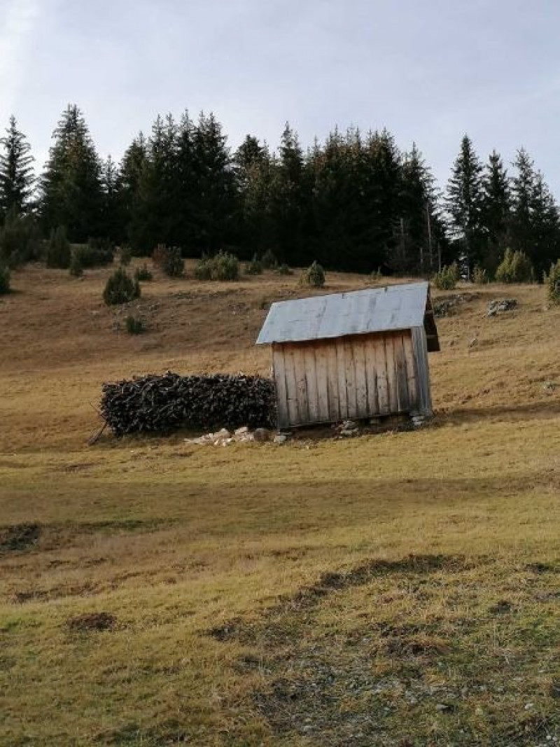 SEOSKO DOMAĆINSTVO „PROŠĆENSKE ŽARI”