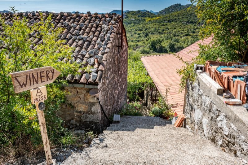 SEOSKO DOMAĆINSTVO „VINARIJA JANKOVIĆ”